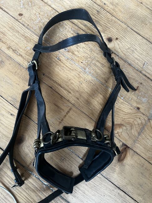 Leder Kappzaum mit schwerem Naseneisen, Laura, Lunging, Dortmund
