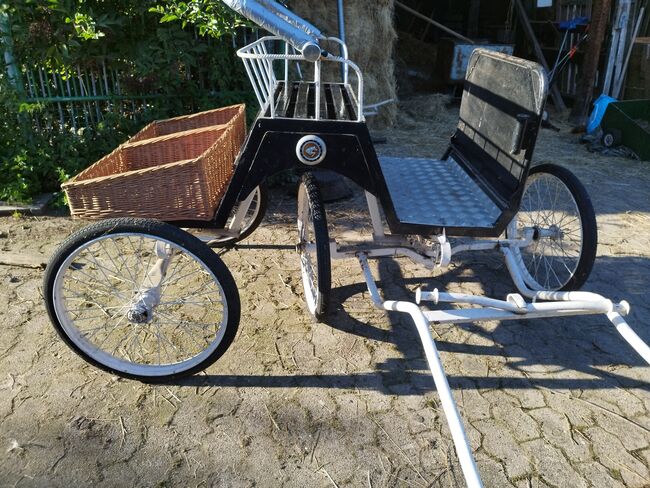 leichte, gut gefederte Kutsche (Shetty/Welsh A), siehe Bilder, Familie, Carriages, Rahden