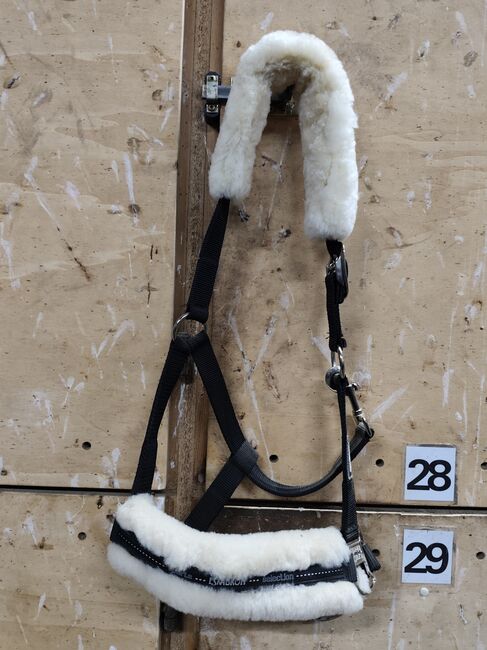 Halfter Lammfell Eskadron, Eskadron  Selection, Svenja Bergmann , Halters, Gaggenau 