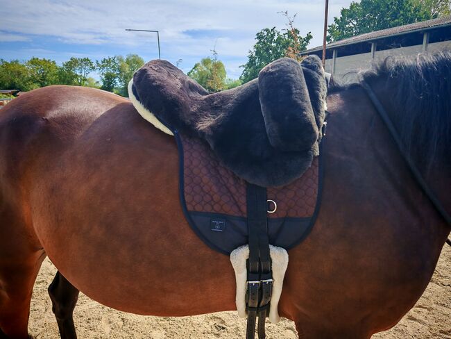 Lammfellsattel Fellsattel Premium Plus XH Warmblut, Werner Christ  Fellsattel Premium Plus XH, Lena, Other Pads, Berlin, Image 2