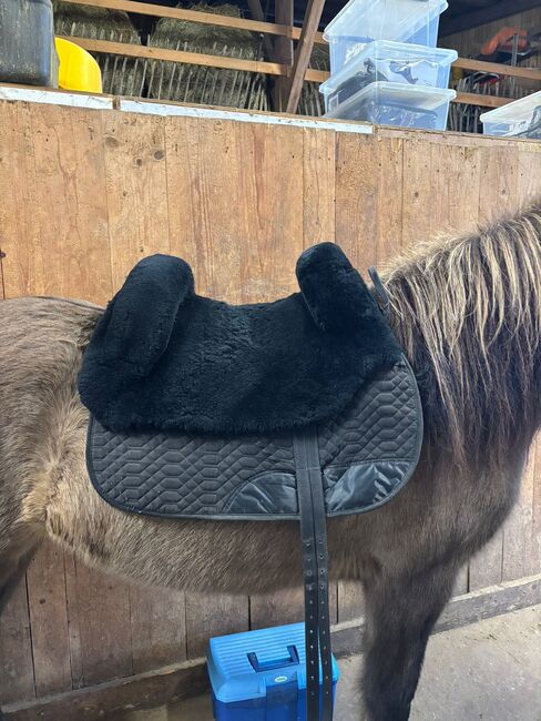 Lammfellsattel  von Engel in schwarz, Engel , Arnold, Fellsattel, Neumarkt 