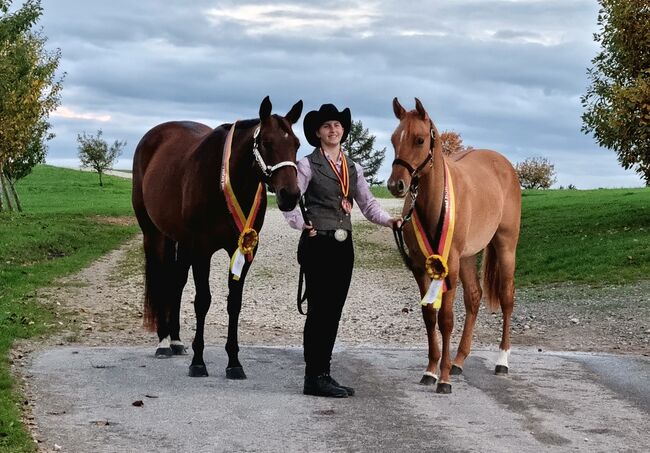 Großrahmige, ausdrucksstarke Quarter Horse Stute, Kerstin Rehbehn (Pferdemarketing Ost), Horses For Sale, Nienburg, Image 13