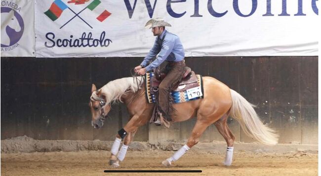 Großrahmige, gut gerittene Paint Horse Stute, Kerstin Rehbehn (Pferdemarketing Ost), Horses For Sale, Nienburg, Image 8