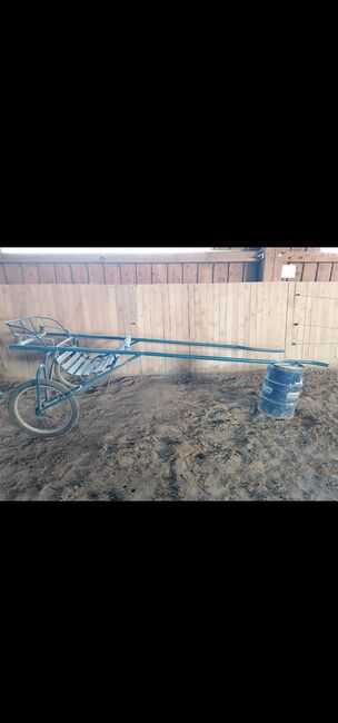 Groß Pferd Sulky, Sunbeam Ranch! , Carriages, Kaufbeuren , Image 5