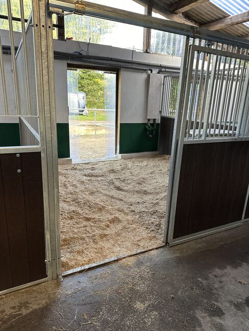 Große Paddockbox in Schenefeld, Antonia S., Horse Stables, Schenefeld 