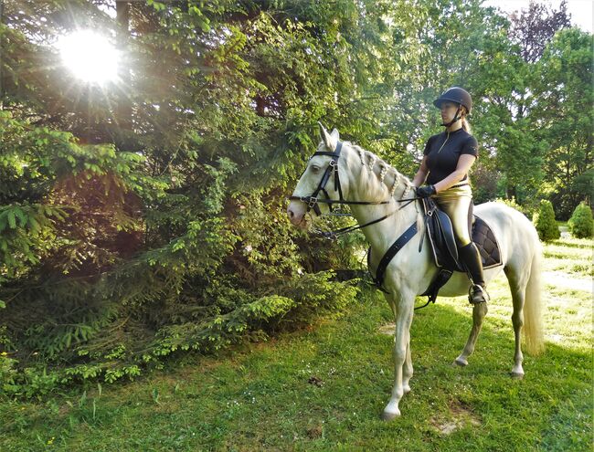 !!Letzte Chance!! Bis Ende August!! Pferde- und Reitermodels für Portfolio gesucht, Coeur de León - Pferdefotografie C&S (Coeur de León - Pferdefotografie C & S), Horse photography, Leutkirch im Allgäu, Image 11