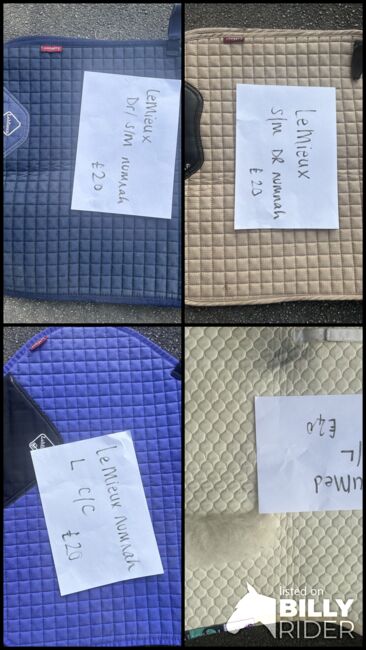 Le Mieux and NuuMed saddle pads, Le Mieux, Rachael Henriksen, Inne podkładki pod siodło, West Ella, Image 6