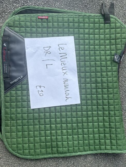Le Mieux and NuuMed saddle pads, Le Mieux, Rachael Henriksen, Inne podkładki pod siodło, West Ella, Image 5