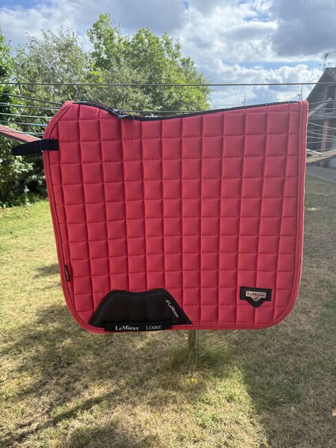 Le Mieux Dr Schabracke papaya, Le Mieux , Yara Simson, Dressage Pads, Wathlingen