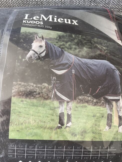 Le Mieux Kudos Turnout Rug 350 g, Le Mieux Kudos, Nadine, Horse Blankets, Sheets & Coolers, Zwönitz