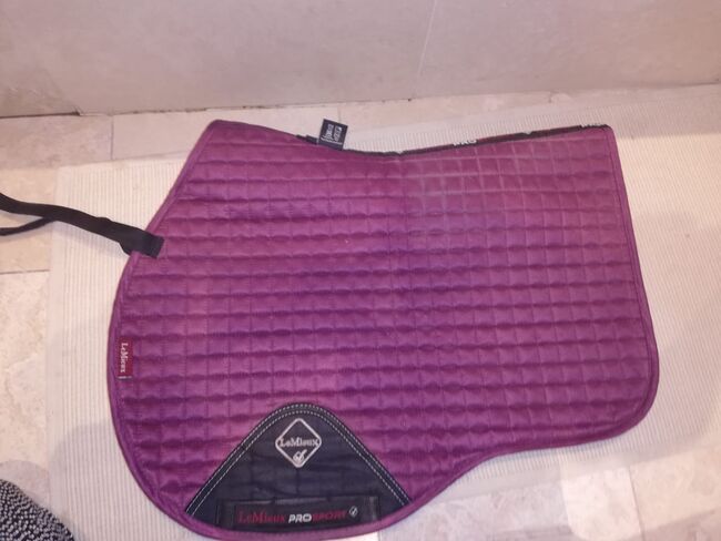 Le Mieux plum GP, L saddle pad, Le mieux, Tanya , Andere Pads, London, Abbildung 4