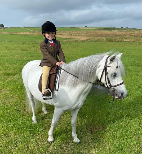 Lead-rein Welsh section, Gail, Horses For Sale, Hyde near Stockport , Image 4