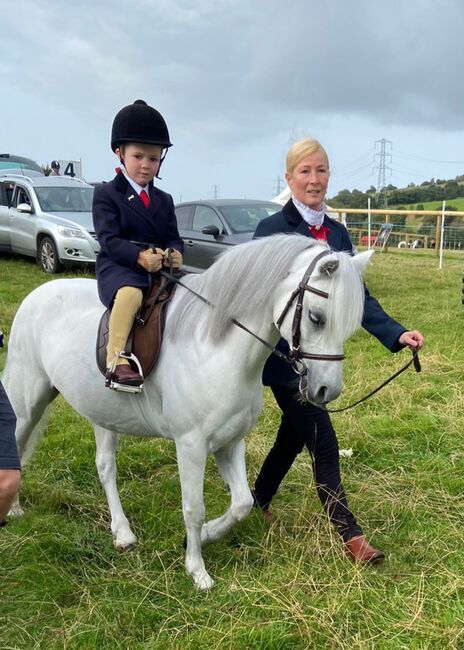 Lead-rein Welsh section, Gail, Horses For Sale, Hyde near Stockport , Image 6