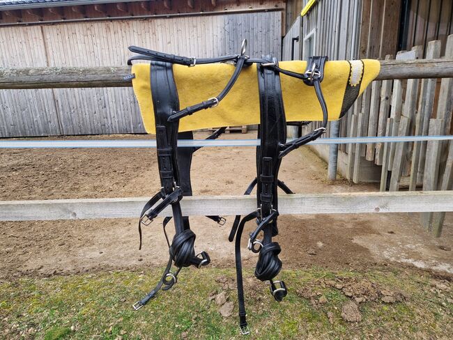 Leder Brustblattgeschirr Zweispänner, Rita Litschauer, Horse Harness, Karlstein an der Thaya