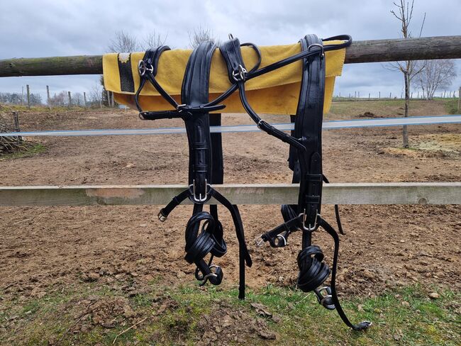 Leder Brustblattgeschirr Zweispänner, Rita Litschauer, Horse Harness, Karlstein an der Thaya, Image 13