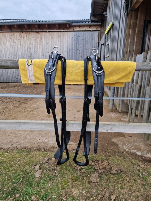 Leder Brustblattgeschirr Zweispänner, Rita Litschauer, Horse Harness, Karlstein an der Thaya, Image 4