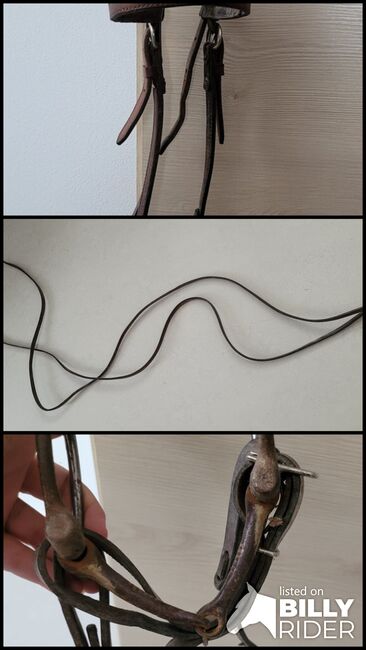 Trense aus Leder, Tina , Bridles & Headstalls, Ettringen , Image 4