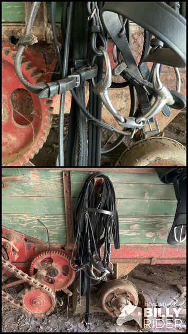 Trense aus Leder, Ulrike Meilgen, Bridles & Headstalls, Saarbrücken, Image 3
