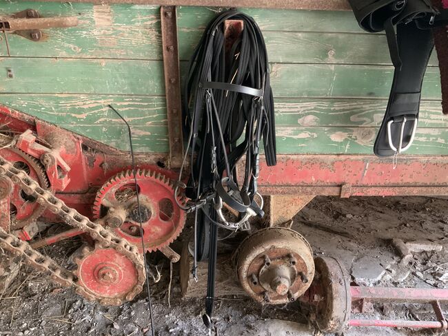 Trense aus Leder, Ulrike Meilgen, Bridles & Headstalls, Saarbrücken, Image 2