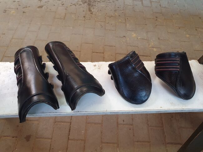 Leder-Gamaschen, Kathi, Tendon Boots, Dülmen, Image 10