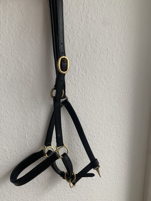 Lederhalfter Cob/Vollblut, Ann-Kathrin Hoppe, Halters, Schwalbach, Image 5