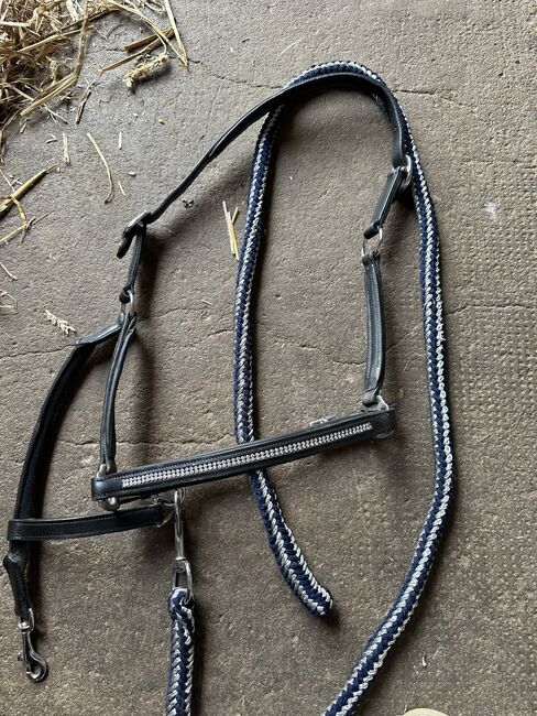 Lederhalfter, Carina Schmitz, Halters, Düren
