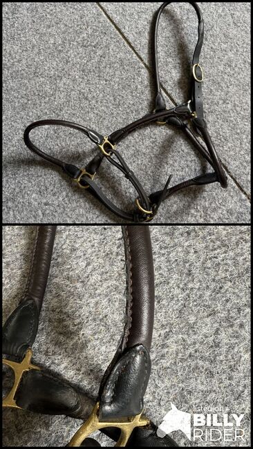 Leder Halfter, Isabelle Saladin, Halters, Hofstetten , Image 3