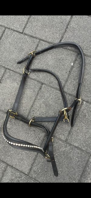Lederhalfter, Brigitte Krassnig, Halters, Lauterach, Image 2