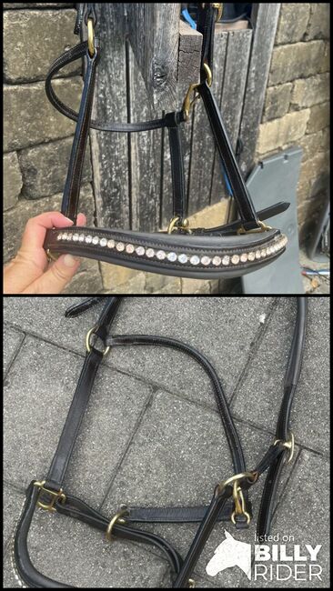 Lederhalfter, Brigitte Krassnig, Halters, Lauterach, Image 3