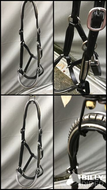 Leder Halfter WB, Iris , Halters, Borken/Hessen, Image 5