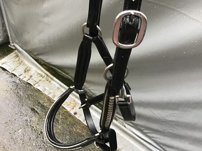 Leder Halfter WB, Iris , Halters, Borken/Hessen, Image 3