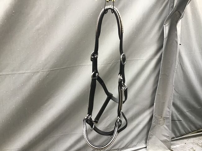 Leder Halfter WB, Iris , Halters, Borken/Hessen, Image 2