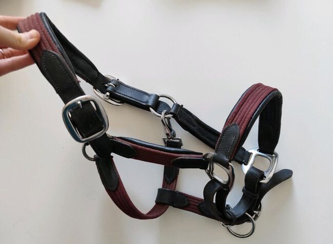 Lederhalfter mit weinroter Gurtbandverzierung Gr. Pony, Lisa Maria, Halters, Ribnitz-Damgarten