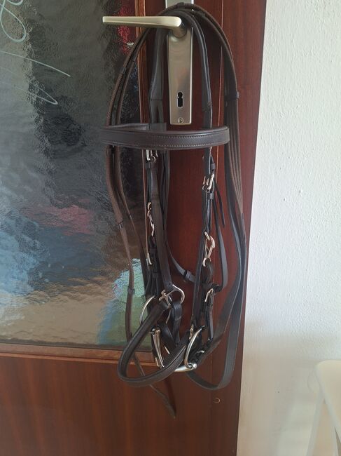 Lederhalfter mit Zügel und Gebiss, Manuela Schmiedhofer , Nosebands, Obdach
