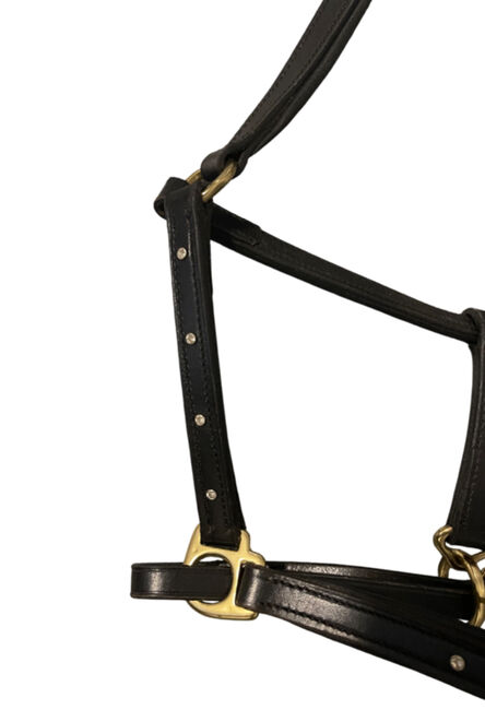 Lederhalfter mit Swarovski Nieten, Glam Bridle, Halters, Gottshaus , Image 2