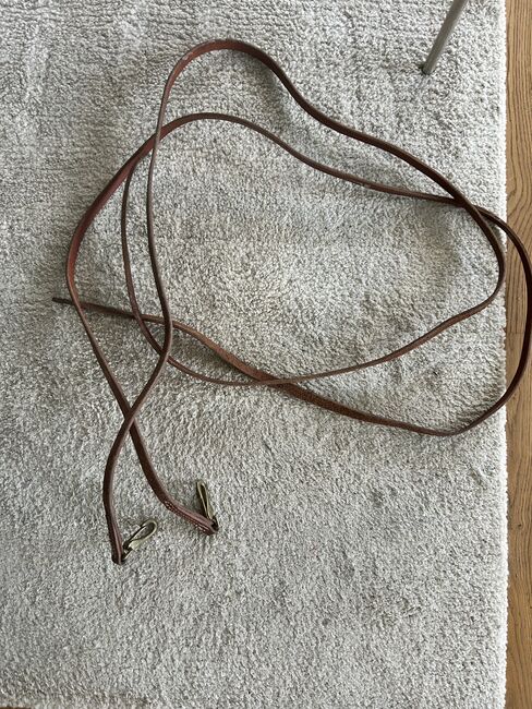 Lederzügel, Pia Eichholzer, Training Aids, Horriwil, Image 2