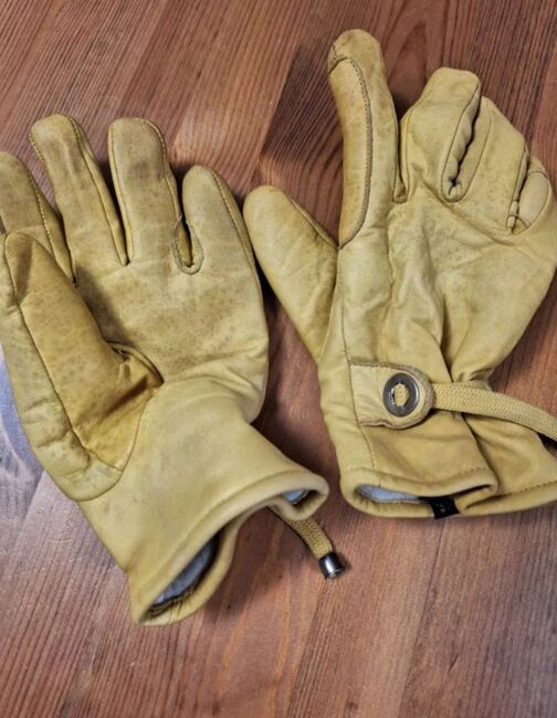 Leder Reithandschuhe, Elke Resch, Riding Gloves, Deutschlandsberg , Image 3