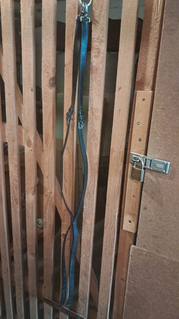 Ausbinder leder, Tina, Lunging, Frankenthal (Pfalz)
