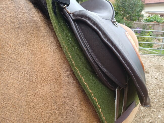 Lederbaumsattel Trekking Wanderreiten Dressur, Sorenta Trekking Emotion Gamma, Sandra, Endurance Saddle, Kumberg, Image 2