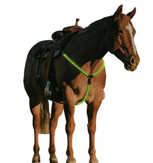 LED BRUSTGESCHIRR USB Aufladbar Vorderzeug Pferd, Marke: VM-MAESTRO , Vanessa , Reflective Horse Wear, Dietenheim