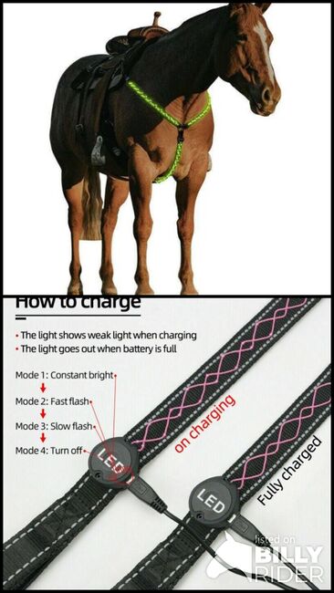 LED BRUSTGESCHIRR USB Aufladbar Vorderzeug Pferd, Marke: VM-MAESTRO , Vanessa , Reflective Horse Wear, Dietenheim, Image 3