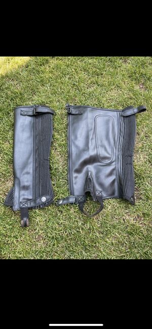 Leder Chaps, Steeds, Caroline E, Half Chaps, Großostheim 