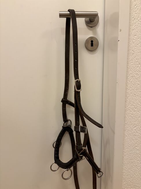 Leder Kappzaum, Désirée, Lunging, Uerzlikon