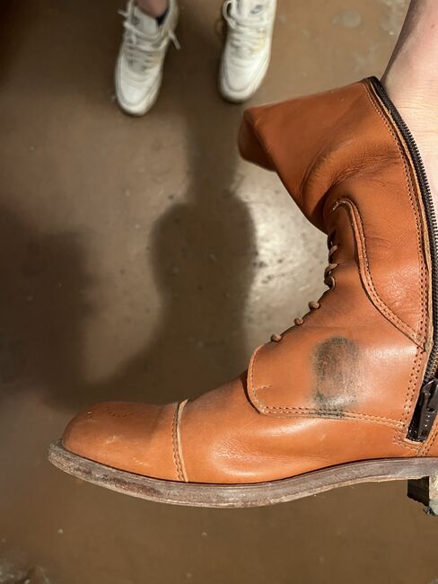 Leder Reitstiefel aus Portugal Größe 39, Julia Müller , Reitschuhe & Stallschuhe, Mannheim, Abbildung 7