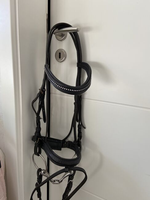 Leder Trense, Claridge, Jill, Bridles & Headstalls, Braunschweig 