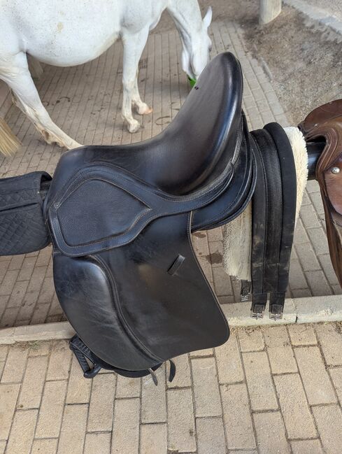 Lederbaum Sattel, Xenia Beß , Other Saddle, Eckental 