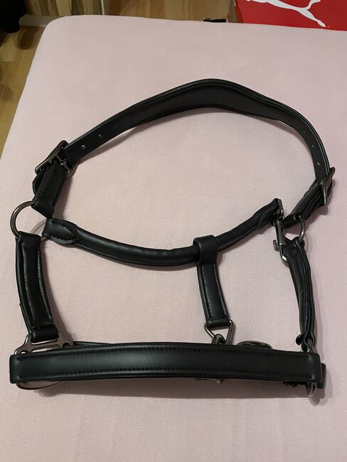 Lederhalfter Aro Equi, Aro Equi, Svenja Luther, Halters, Breuberg, Image 5