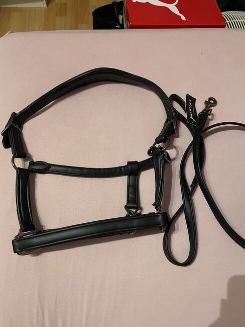 Lederhalfter Aro Equi, Aro Equi, Svenja Luther, Halters, Breuberg