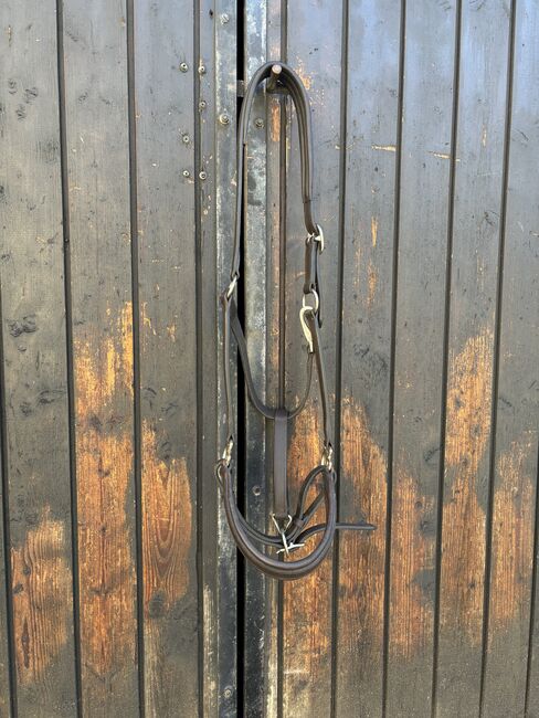 Lederhalfter, Showmaster Braunes Lederhalfter, Iris, Halters, Weiz