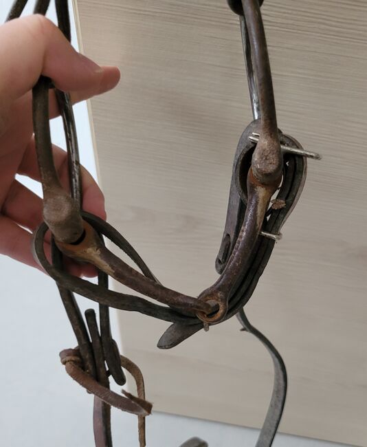 Trense aus Leder, Tina , Bridles & Headstalls, Ettringen , Image 3